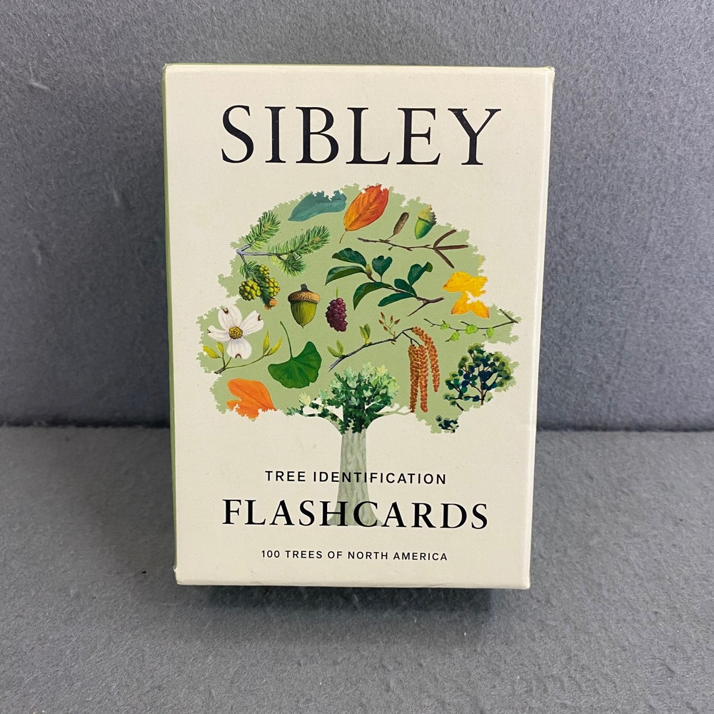 Sibley Tree Identification Flashcards 100 Trees of North America David Sibley